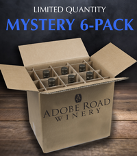 2022 Mystery 6 Pack 1